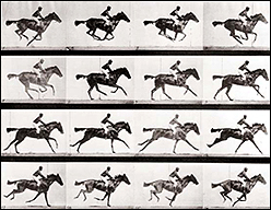 This series of photo shots prove that all four horse hooves do sometimes leave the ground at the same time.