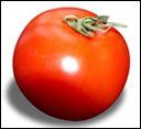 The lucious, ripe tomato...where would be without it? And it's a fruit, not a vegetable.